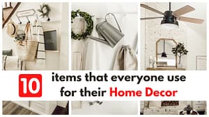 Read more about the article 10 items that everyone should use for their Home Decor